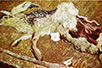 Недељко Гвозденовић: „Зеч¬ја ко¬жа”, 1933, Му¬зеј са¬вре¬ме¬не умет¬но¬сти, Бе¬о¬град